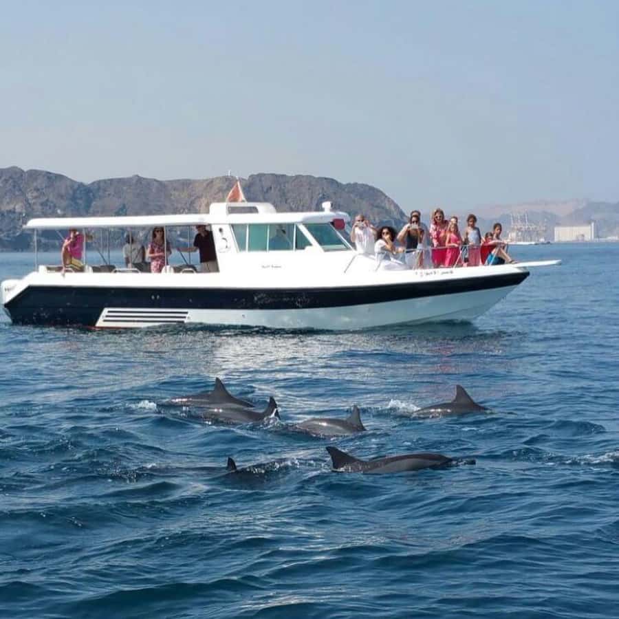 Muscat Dolphin Watching & Coastal Sightseeing Tour - A two-hour look at Muscat from the water