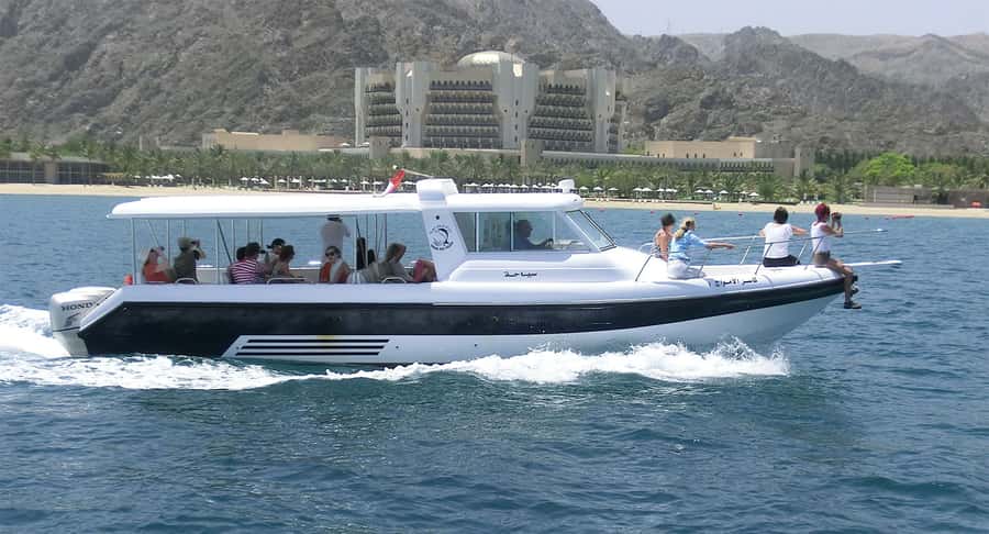 Muscat Dolphin Watching & Coastal Sightseeing Tour - How the $35 price compares in value