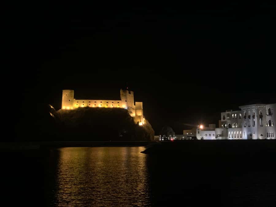 Muscat: Evening Group City Guided Tour with Free Dinner - National Museum: useful context, limited time
