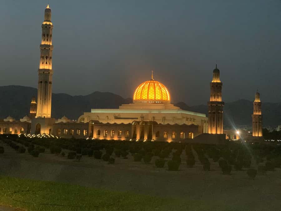 Muscat: Evening Group City Guided Tour with Free Dinner - Sultan Qaboos Grand Mosque after dark