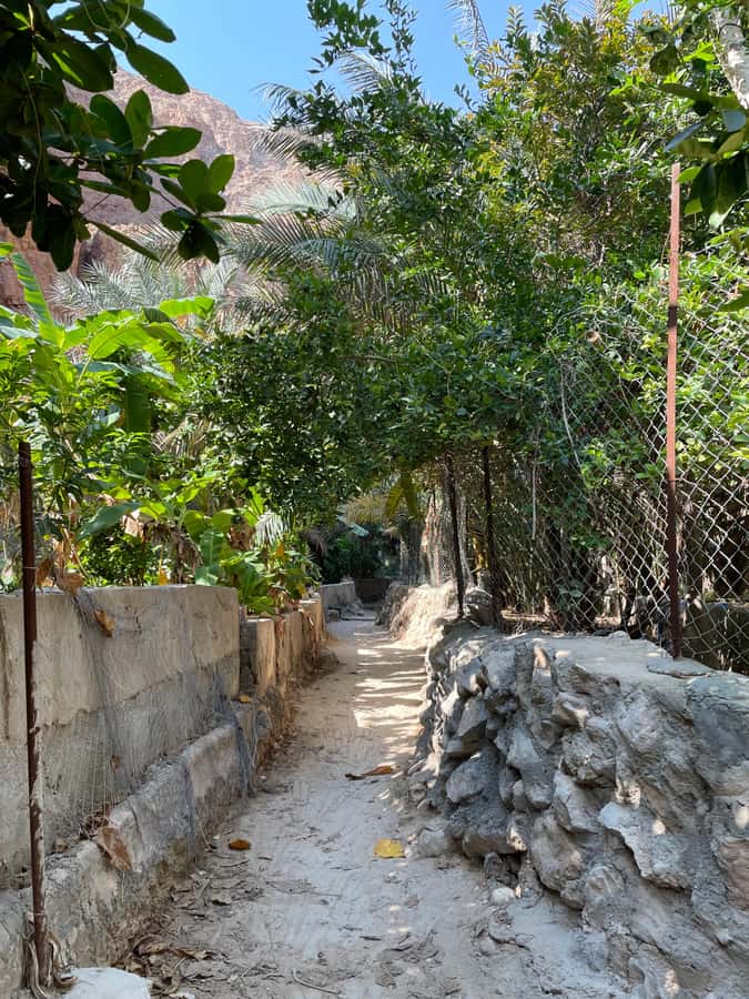 Muscat: Full-Day Wadi Shab & Bimmah Sinkhole Private Tour - Wadi Shab gives the day its character