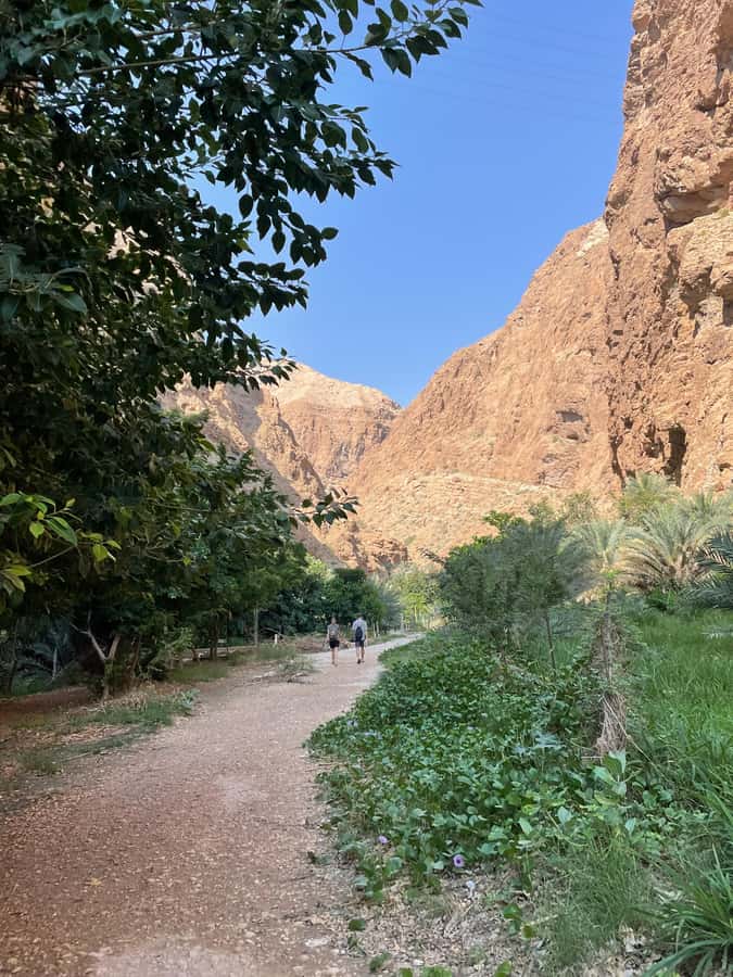 Muscat: Full-Day Wadi Shab & Bimmah Sinkhole Private Tour - Lunch is part of the experience, not just fuel