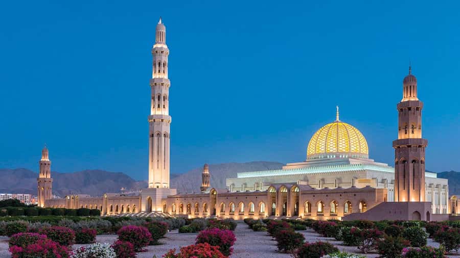 Muscat: Group City Tour with Pickup and Lunch or Dinner - Key points at a glance