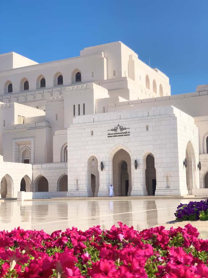 Muscat: Group City Tour with Pickup and Lunch or Dinner - Guides, driving, and flexibility