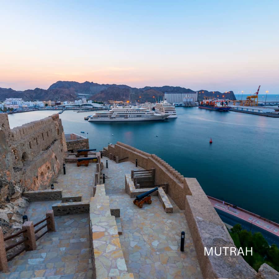 Muscat: Half-Day City Tour - Key points at a glance