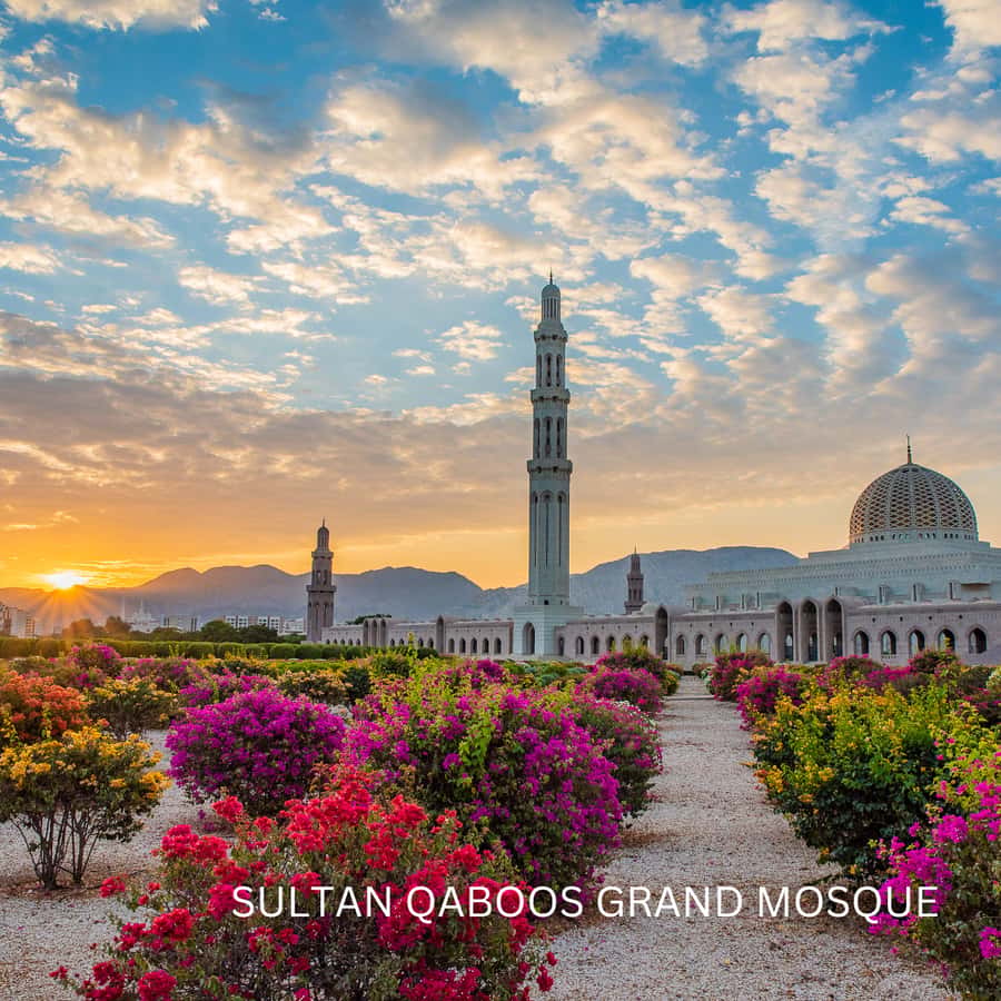 Muscat: Half-Day City Tour - A useful first look at Muscat in four hours