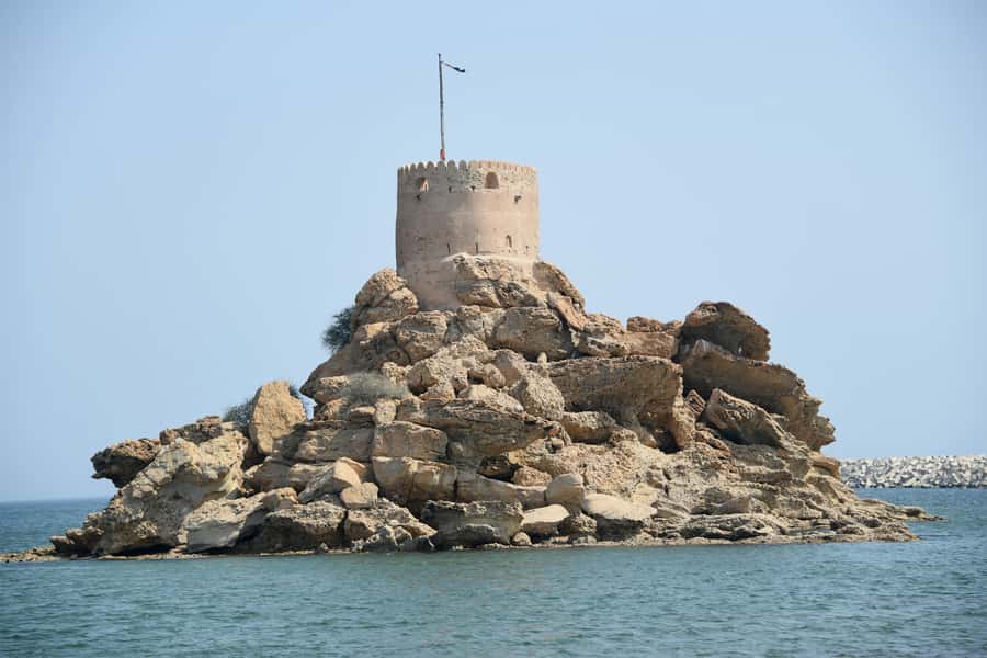Muscat: Half-Day Guided City and Oman Coast Tour - Omani food and the region’s largest palm
