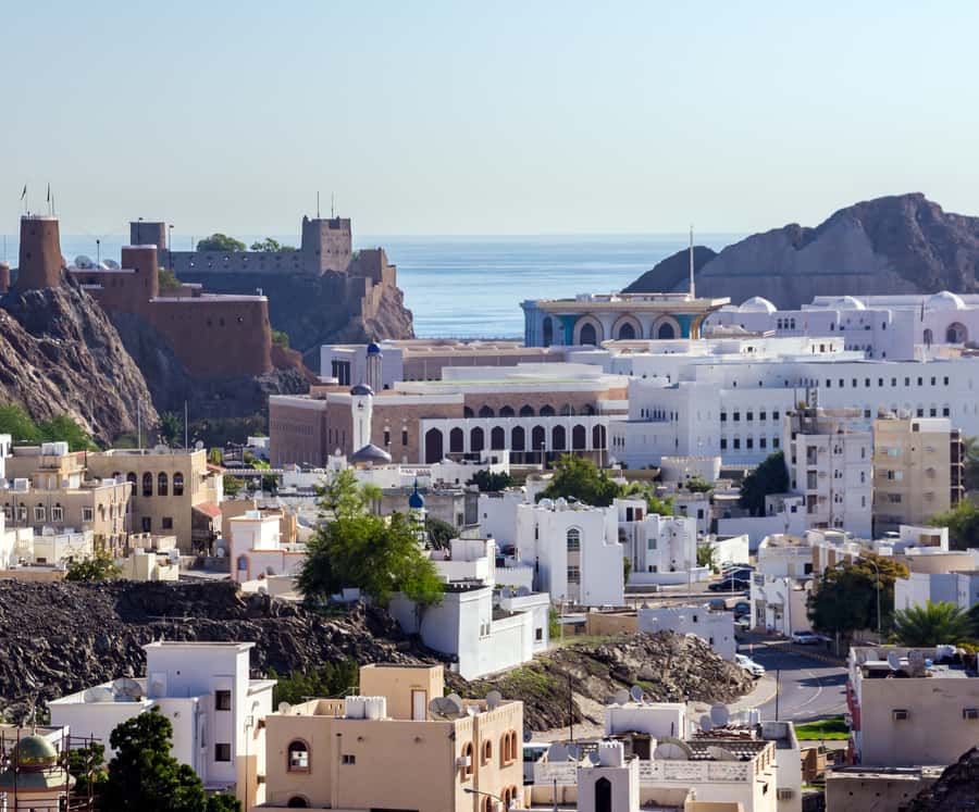 Muscat highlights : Private Muscat City Tour.. - Finishing at Muttrah Souq