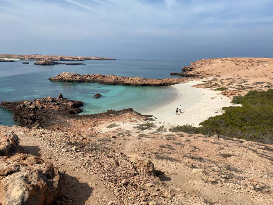 Muscat Oman: Snorkeling adventure to Daymaniyat Island - Key points to know before you book