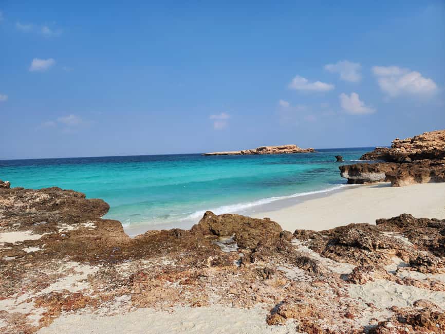 Muscat Oman: Snorkeling adventure to Daymaniyat Island - Who should book this island trip?