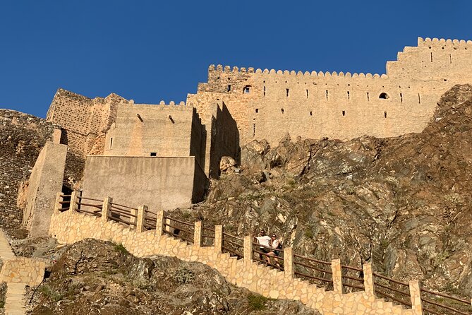 Muscat : Private morning tour in Muscat - Price, group size, and value