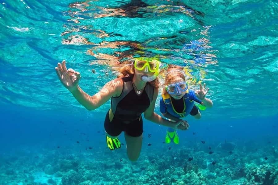 Muscat: Snorkeling and Dolphin Watching Tour - Starting at Marina Bandar Al Rowdha