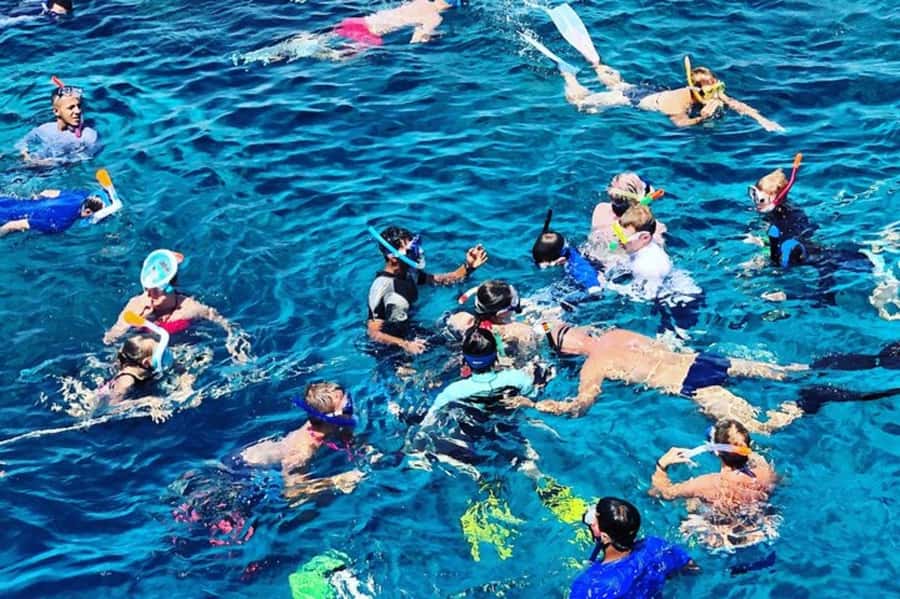 Muscat: Snorkeling and Dolphin Watching Tour - How the crew affects the day