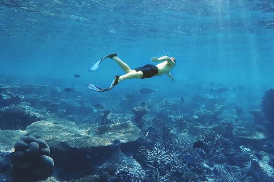 Muscat: Snorkeling and Dolphin Watching Tour - Practical details that make the difference