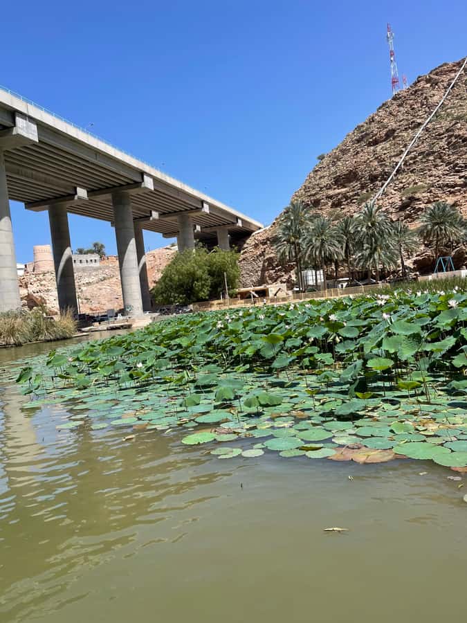 Muscat: Wadi Shab, Romantic Cave and Sinkhole Full-day Trip - What to pack for a safer, easier day