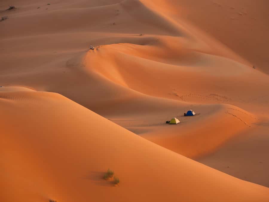 Muscat: Wahiba Sands Desert Sunset Tour with Dinner - The 4x4 ride across the dunes