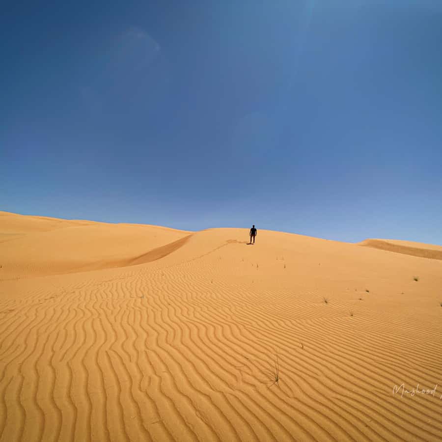 Muscat: Wahiba Sands Desert & Wadi Bani Khalid Full Day Tour - Why this day trip works from Muscat