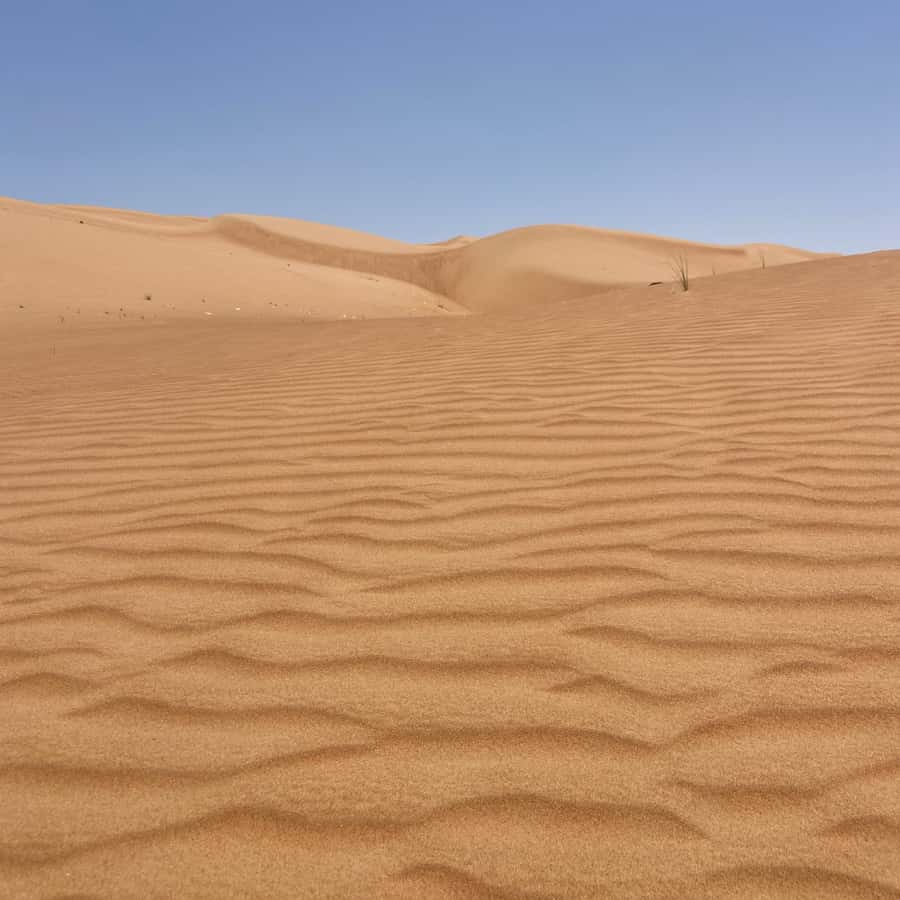 Muscat: Wahiba Sands Desert & Wadi Bani Khalid Full Day Tour - Bidiyah provides the midday break