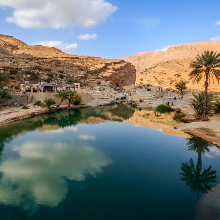 Muscat: Wahiba Sands Desert & Wadi Bani Khalid Full Day Tour - What the guide adds to the experience