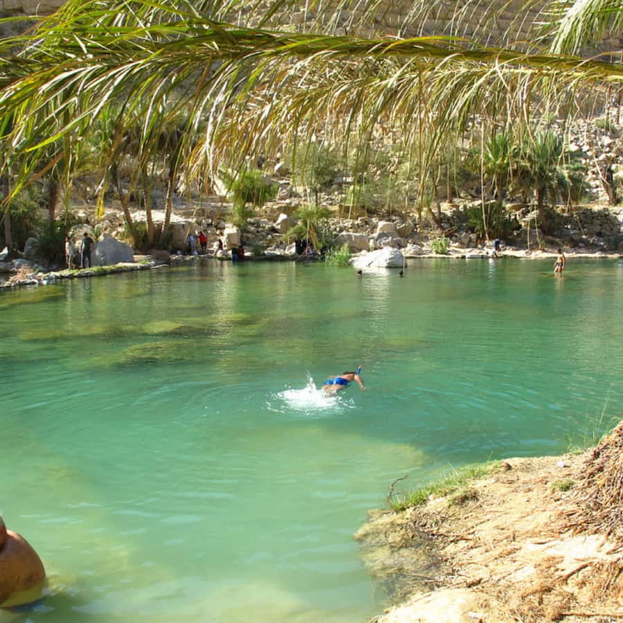 Muscat: Wahiba Sands Desert & Wadi Bani Khalid Full Day Tour - Who should book this tour?