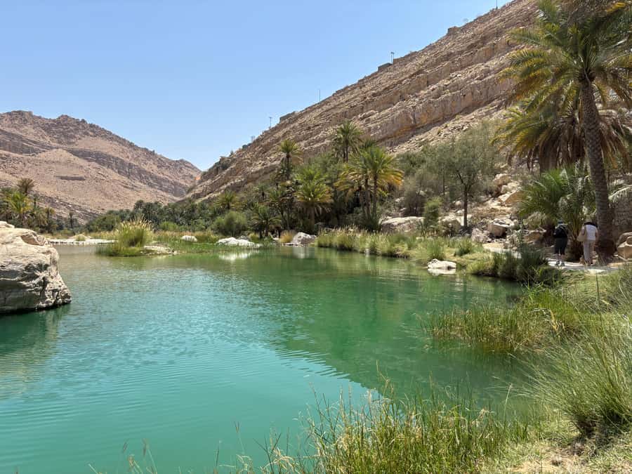 Muscat: Wahiba Sands, Wadi Bani Khalid & Mudayrib Tour - The final tea break and the long ride home