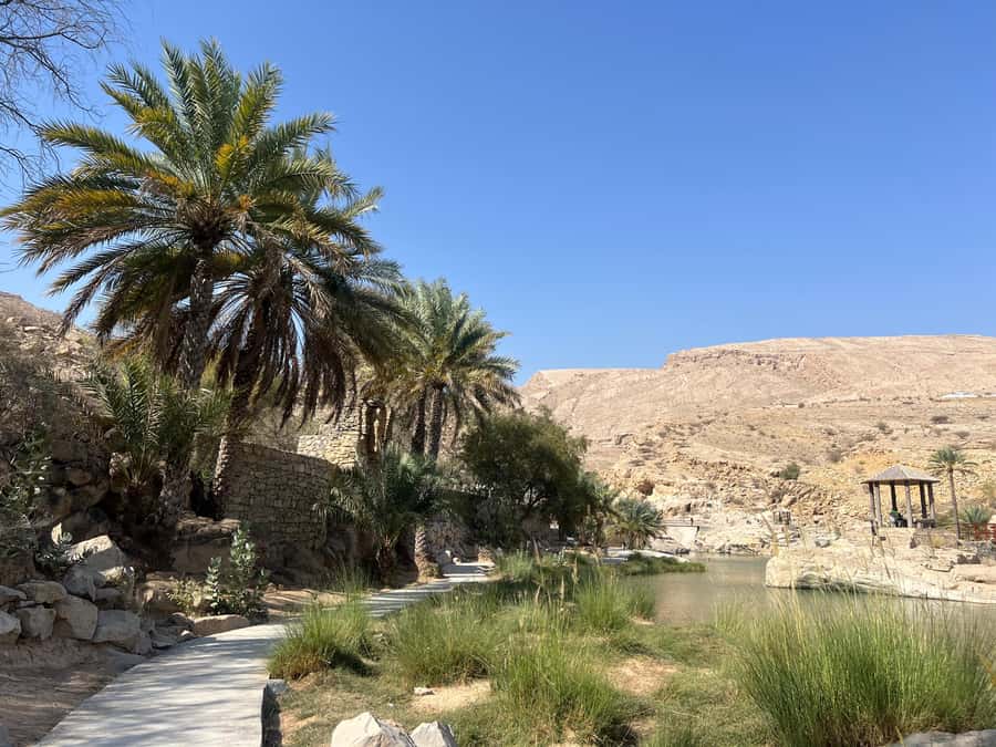 Muscat: Wahiba Sands, Wadi Bani Khalid & Mudayrib Tour - Practical ways to make the day better