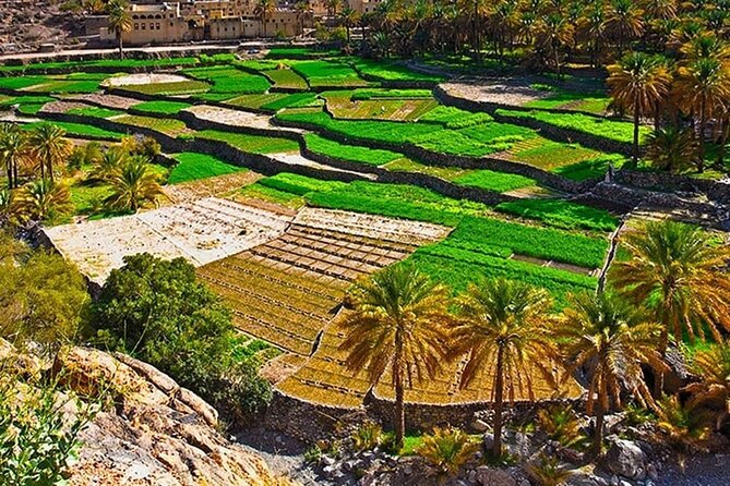 Nakhal Fort-Nakhal Hotspring-Wadi Bani Awf-Bilad Sayt - Private Full Day Tour - Wadi Bani Awf on a demanding 4WD road