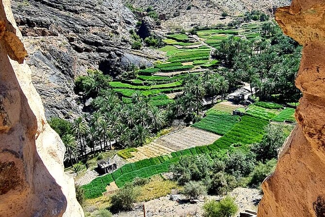 Nakhal Fort-Nakhal Hotspring-Wadi Bani Awf-Bilad Sayt - Private Full Day Tour - Should you book the Nakhal, Wadi Bani Awf, and Bilad Sayt tour?