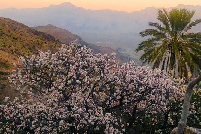 Nakhal Hotspring and Wakan Village Private Full Day Tour - Nakhal’s warm spring is a modest, pleasant pause