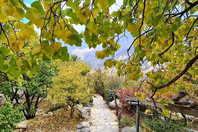 Nakhal Hotspring and Wakan Village Private Full Day Tour - Wakan Village rewards slow progress