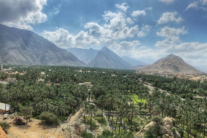 Nizwa and Green Mountain Group Full day tour - Nizwa Souq: begin with Oman’s trading life