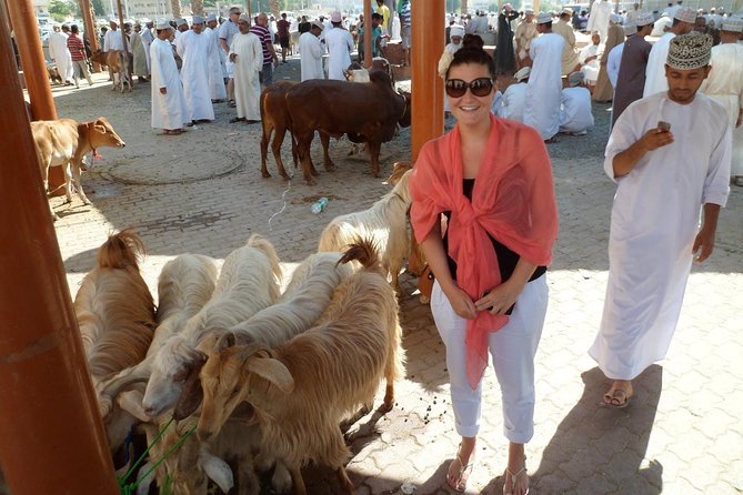 Nizwa Bahla & Jabrin Fort(Muscat tours) as private and custom trip - The value of a driver-guide