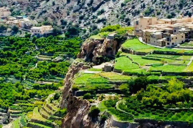 Nizwa Fort-Nizwa Souq-Birkat Al Mouz-Jebel Akhdar - Private Full Day Tour - A long day from Muscat into Oman’s interior