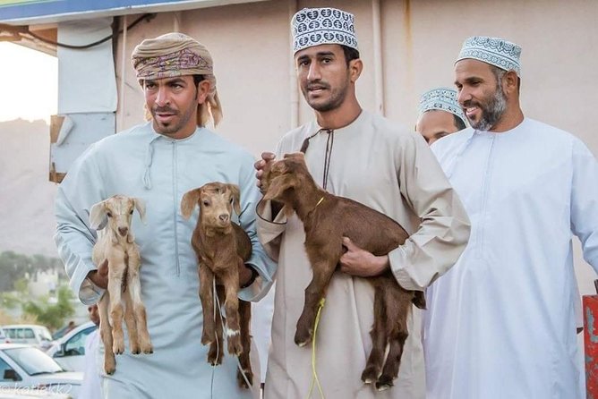 Nizwa Friday Market Jabal Chams - Is $381.86 good value for up to four people?
