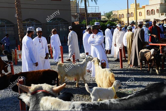 Nizwa Friday Market Jabal Chams - Nizwa Souq and Fort: two different sides of the city