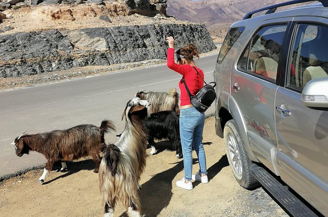 Nizwa. Hambra. Grand Canyon Oman - Guides, languages, and the human side of the tour