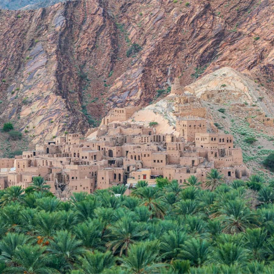 Nizwa Heritage & Culture Full Day Tour with Audio Guiding - Nizwa Souq, where the city feels most immediate
