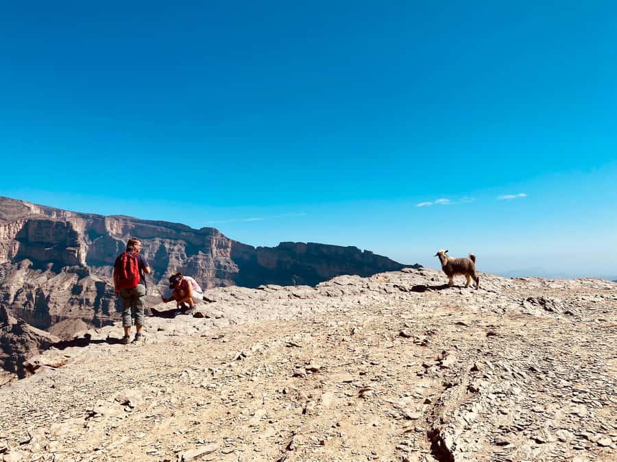 Nizwa: Jebel Shams Balcony Walk and Via Ferrata Adventure - Who will enjoy this Jebel Shams adventure?