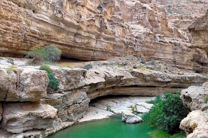 Oman 3-Days 2-Night Shared Roundtrip Tour – Explore Oman's Best - Evening in Wahiba Sands
