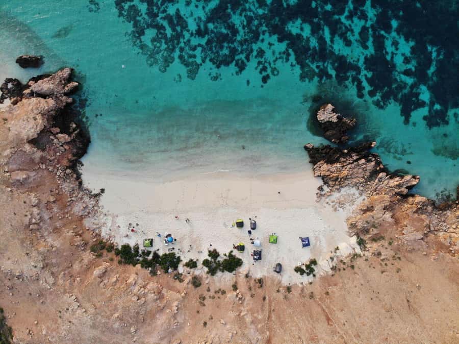 Oman: Daymaniyat Island Snorkeling Trip with Equipment - Guide support for beginners