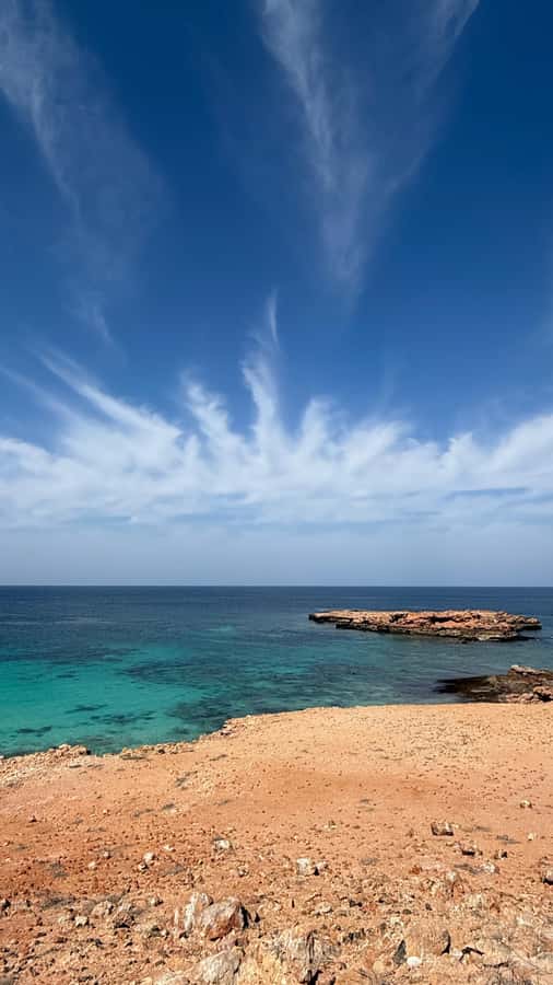 Oman: Daymaniyat Islands Visit and Snorkeling - Summer snorkeling from May through October