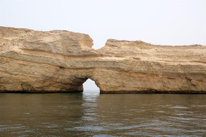 Oman Dolphin Watching Tours - The first run along Muscat’s coast