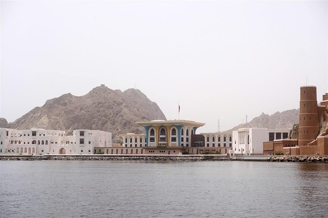 Oman Dolphin Watching Tours - Which dolphins might you see?