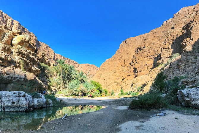 Oman Explorer: City, Wadis, and Desert 5-Day Adventure - Day 1: A simple airport arrival in Muscat