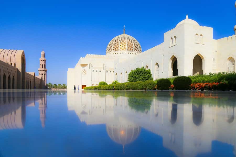 Oman: Private Muscat City Tour With Pick-up/ Drop-off - A Fast, Personal Introduction to Muscat