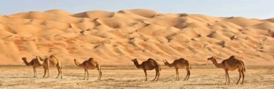 Wahiba and Wadi Bani Khaled Private Trip