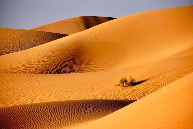 Private 2 Days 1 Night Wahiba Sands Desert and Wadi Bani Khalid Tour - The return to Muscat and the real cost