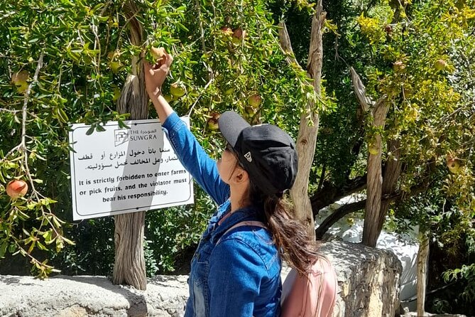 Private 2 - Days Jebel Akhdar Overnight Camping Tours - From Muscat to Nizwa Fort