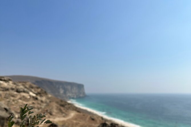 Private Caribian Orient (Swiming in Fazayeh Beach ) - What private guiding adds to the experience