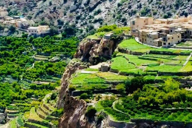 Private Day-Tour in Nizwa and Jebel Akhdar - Nizwa Souq and a more ordinary side of Oman